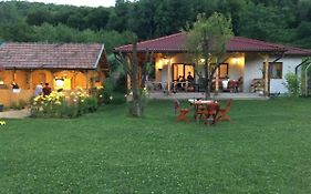 Căsuța de sub pădure
